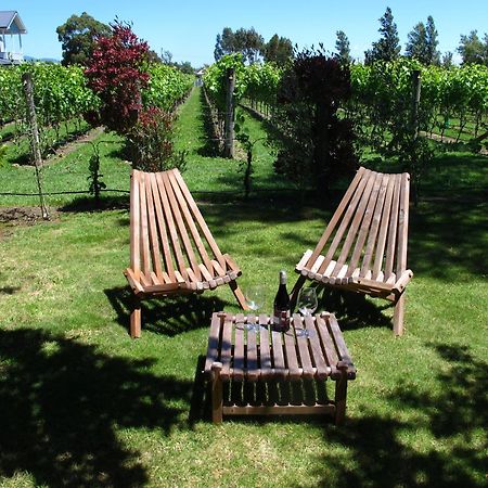 Villa In The Vines Martinborough Buitenkant foto