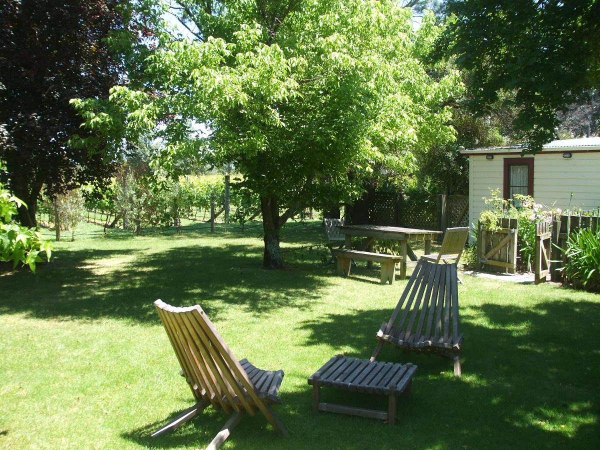Villa In The Vines Martinborough Buitenkant foto