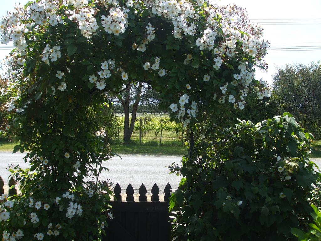 Villa In The Vines Martinborough Buitenkant foto