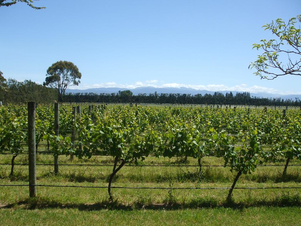 Villa In The Vines Martinborough Buitenkant foto
