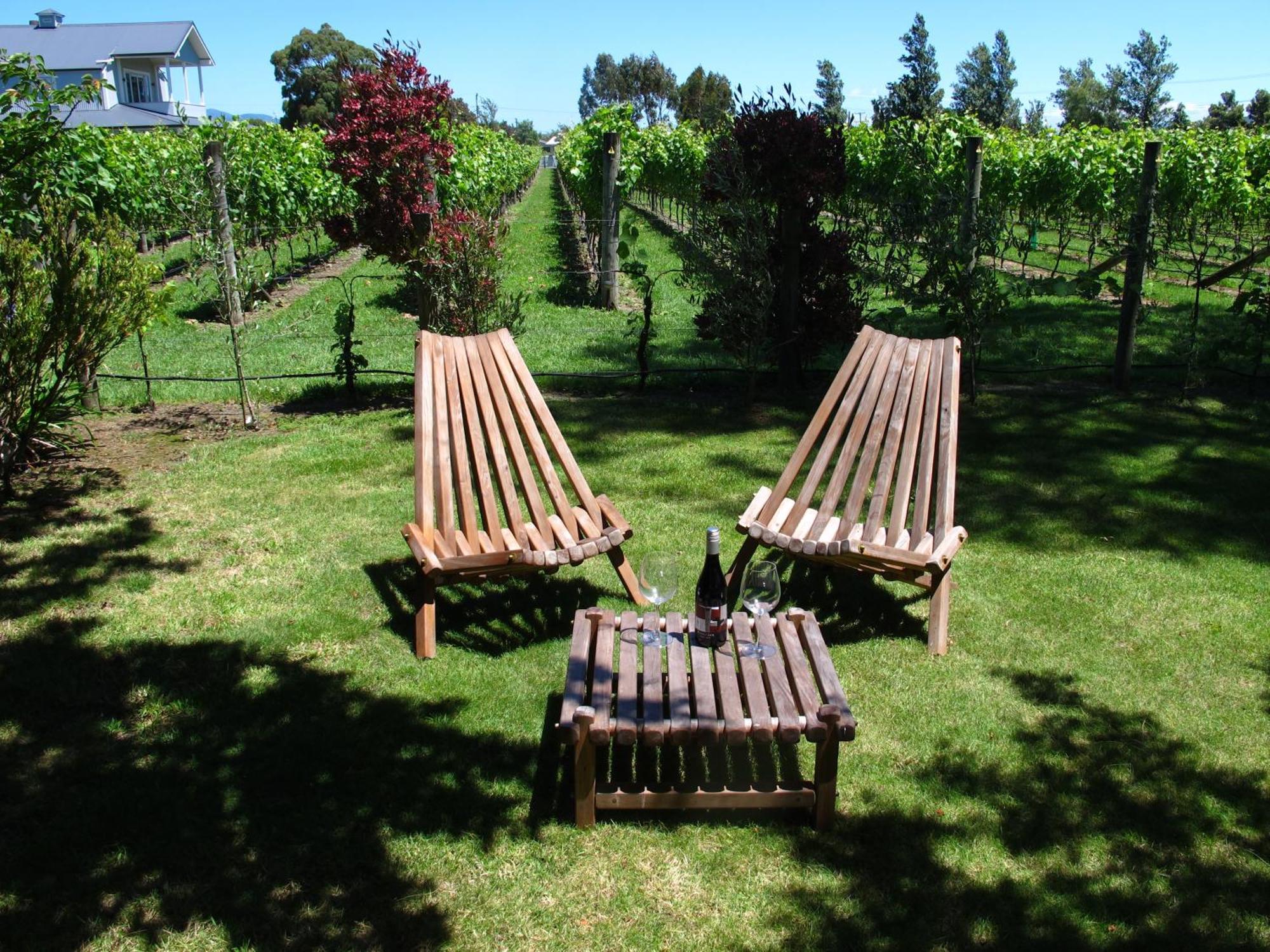 Villa In The Vines Martinborough Buitenkant foto